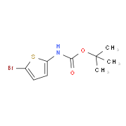 tert-Butyl N-(5-bromothiophen-2-yl)carbamate 943321-89-9